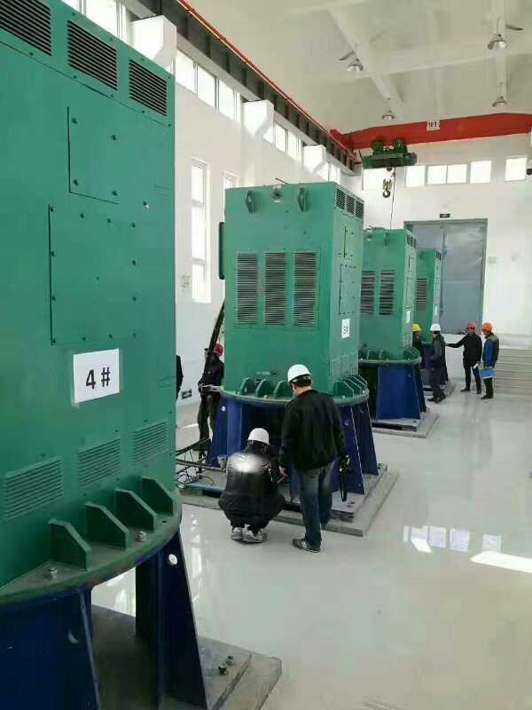 Y5003-6某污水处理厂使用我厂的立式高压电机安装现场