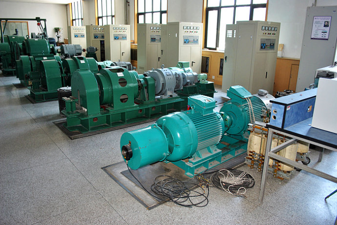 Y5003-6某热电厂使用我厂的YKK高压电机提供动力