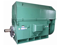 Y5003-6YKK系列高压电机
