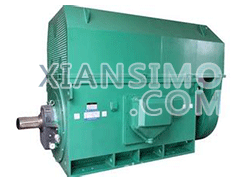 Y5003-6YXKK(2极)高效高压电机技术参数