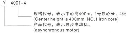 西安泰富西玛Y系列(H355-1000)高压Y5003-6三相异步电机型号说明