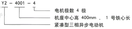 YR系列(H355-1000)高压Y5003-6三相异步电机西安西玛电机型号说明